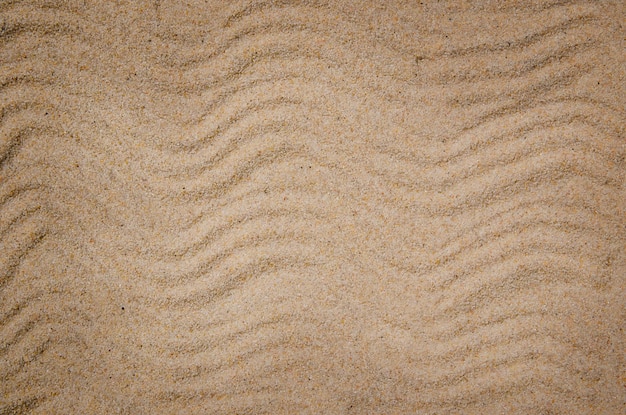 Fond de sable de mer homogène