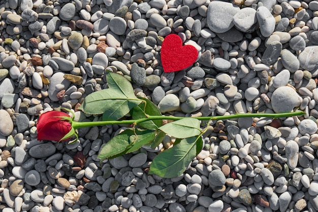 Fond de la Saint-Valentin