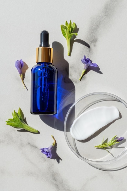 Fond de soins cosmétiques Phytothérapie avec feuilles vertes et fleurs violettes Sérum pour le visage avec collagène dans un compte-gouttes et frottis de crème dans une boîte de Pétri Produit de spa de beauté vue de dessus