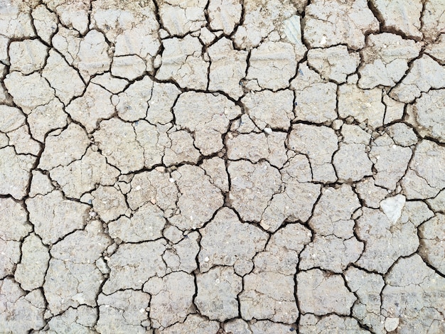 Fond de sol de terre sèche fissurée