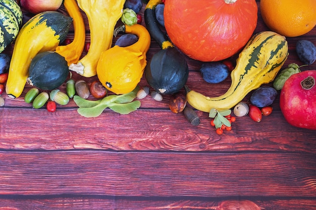 Photo fond sombre avec des légumes d'automne