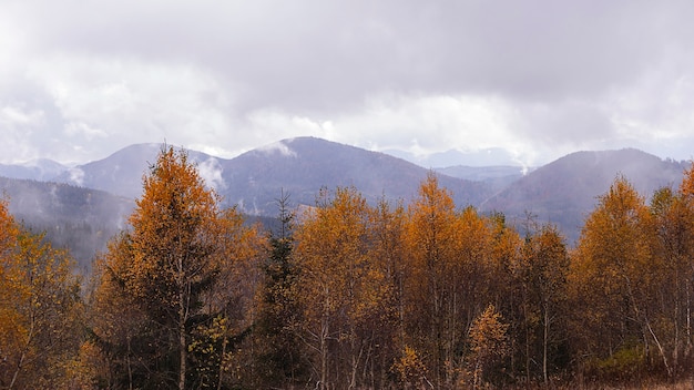 Fond sombre naturel des montagnes d'automne avec des arbres jaunes Jour nuageux avec des nuages dans le ciel