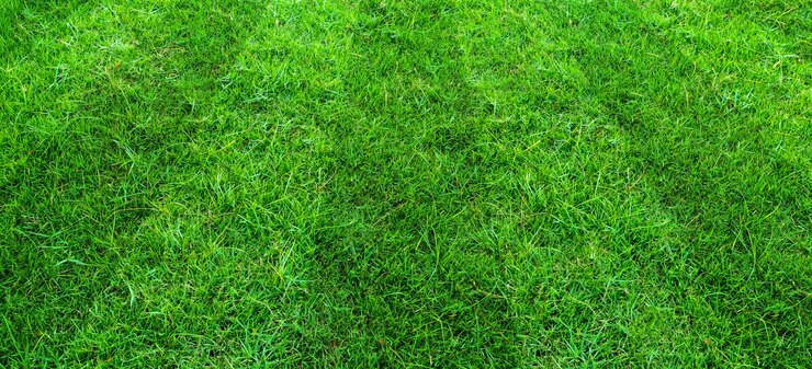 Photo fond de terrain d'herbe verte pour les sports de football et de football. fond de texture de pelouse verte.