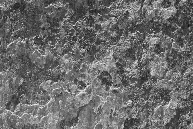 Fond ou texture d'ardoise de pierre noire blanche grise