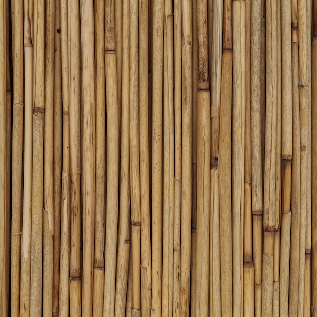 Photo fond de texture en bambou