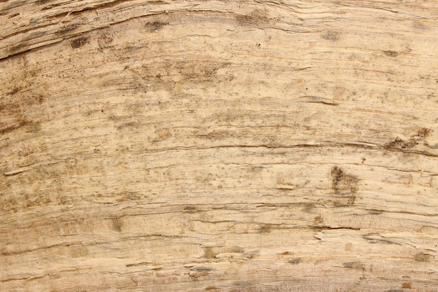 fond de texture de bois rugueux