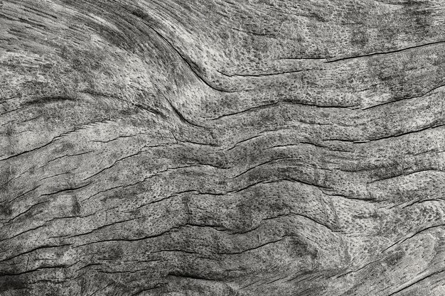 Photo le fond de texture en bois avec le ton noir et blanc