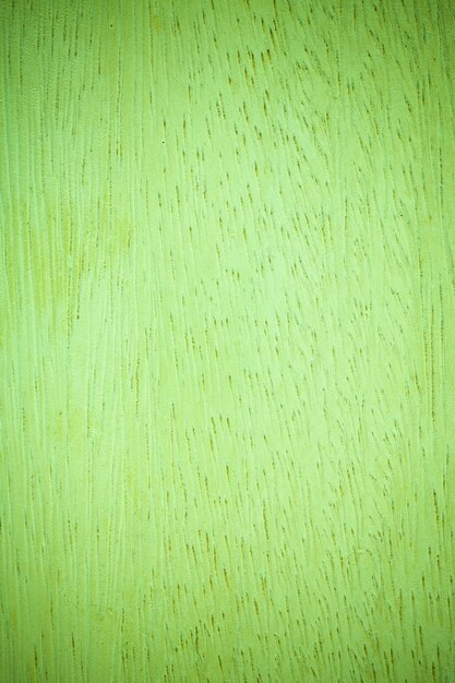 Fond de texture bois vert