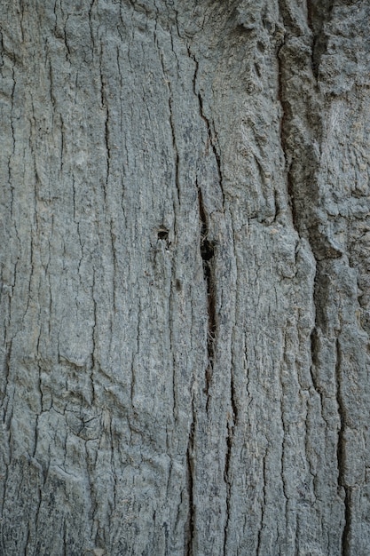 fond de texture en bois.