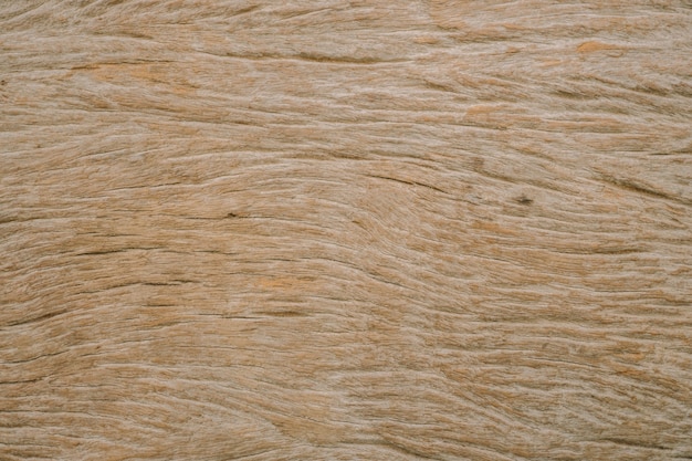 fond de texture en bois