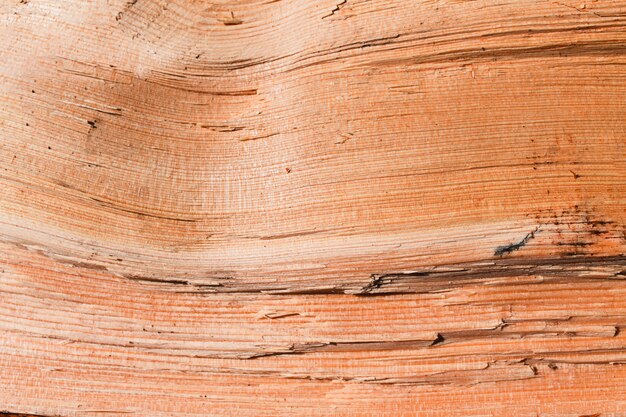 Fond de texture en bois