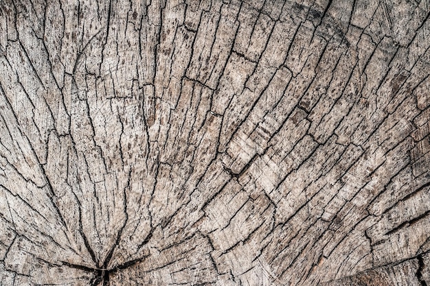 Fond texturé en bois