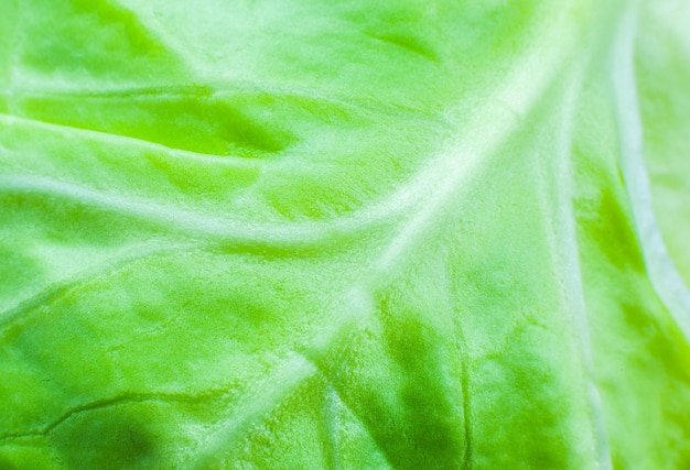 Fond de texture de chou vert Gros plan Photo macro Fond d'écran éco naturel Nourriture végétarienne Produits de légumes et de vitamines