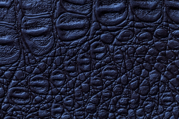 Photo fond de texture cuir bleu marine, gros plan