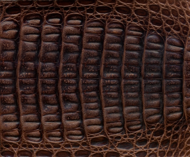 Fond texturé en cuir de crocodile