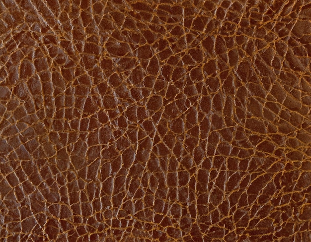 fond de texture en cuir marron