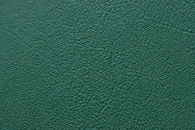 Fond de texture en cuir vert avec motif naturel