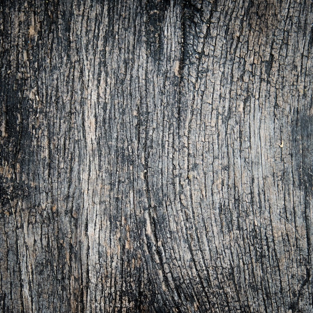 fond de texture du bois.