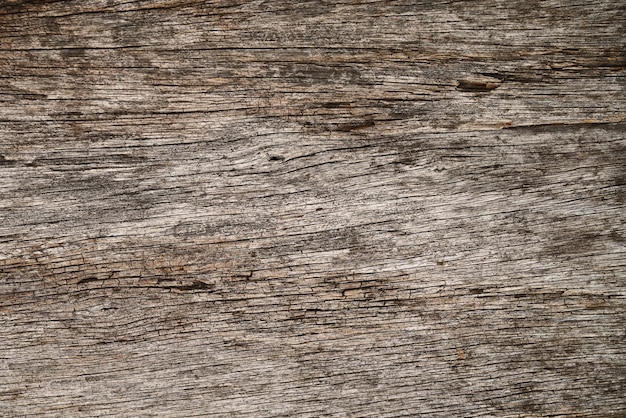 fond de la texture de l&#39;écorce en bois