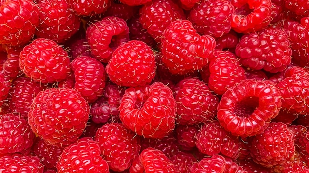 Fond de texture d'un grand nombre de framboises. Fond de baies naturelles