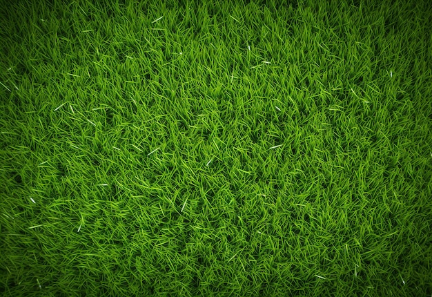 Photo fond d'une texture d'herbe verte apaisante