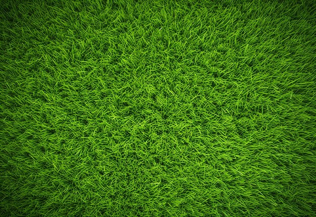 Photo fond d'une texture d'herbe verte apaisante