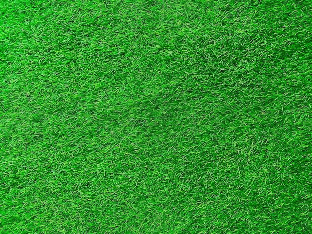 Fond de texture d'herbe verte concept de jardin d'herbe utilisé pour faire un terrain de football de fond vert Grass Golf modèle de pelouse verte fond texturéxD