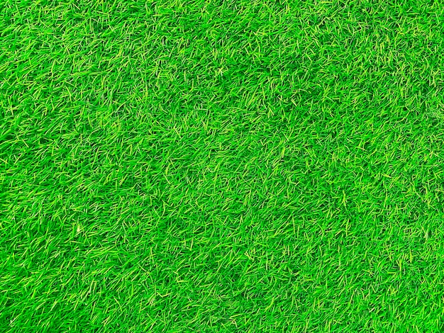 Fond de texture d'herbe verte concept de jardin d'herbe utilisé pour faire un terrain de football de fond vert Grass Golf modèle de pelouse verte fond texturéxD