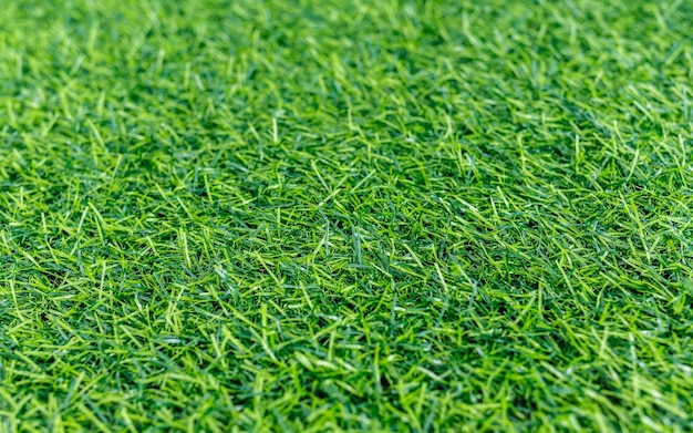 Fond de texture d'herbe verte et concept de maquette de jardin d'herbe