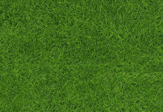 Photo fond de texture d'herbe verte