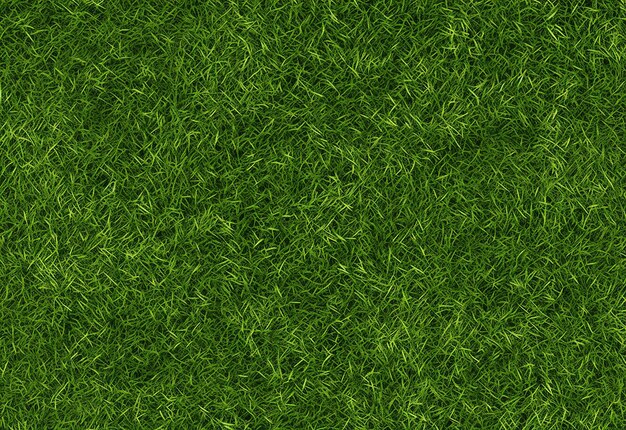 Fond de texture d'herbe verte