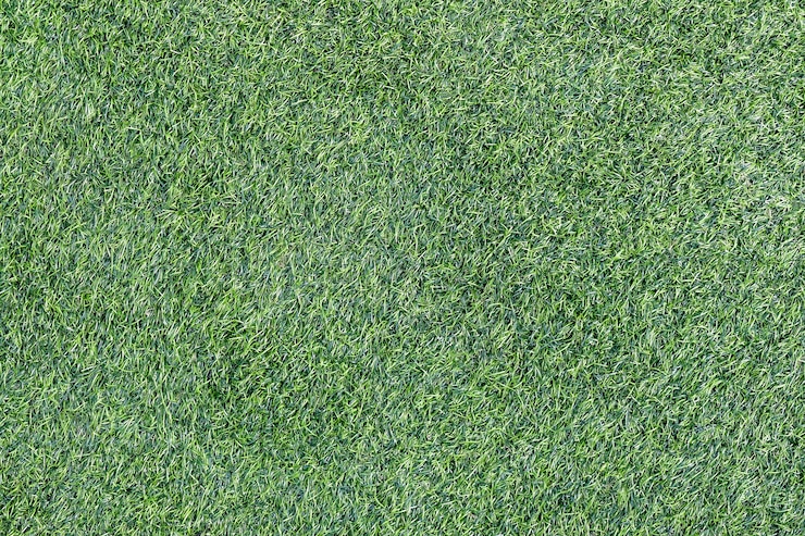 Photo fond de texture de l&#39;herbe verte