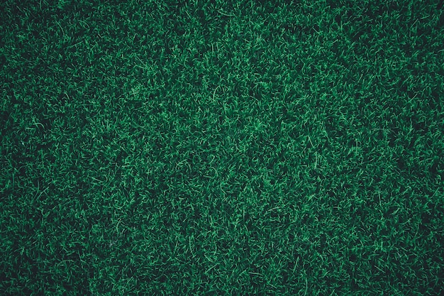 Fond de texture d'herbe verte.