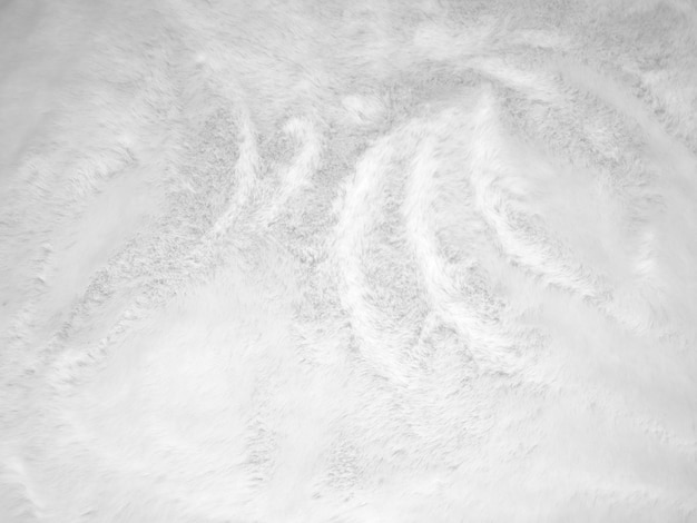 Fond de texture de laine blanche propre laine de mouton naturelle légère texture de coton blanc sans couture de fourrure duveteuse pour les concepteurs gros plan fragment tapis de laine blanche