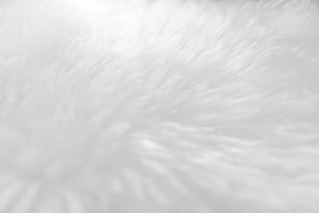 Fond de texture de laine blanche propre laine de mouton naturelle légère texture de coton sans couture blanche de fourrure duveteuse pour les concepteurs agrandi fragment tapis de laine blanchex9