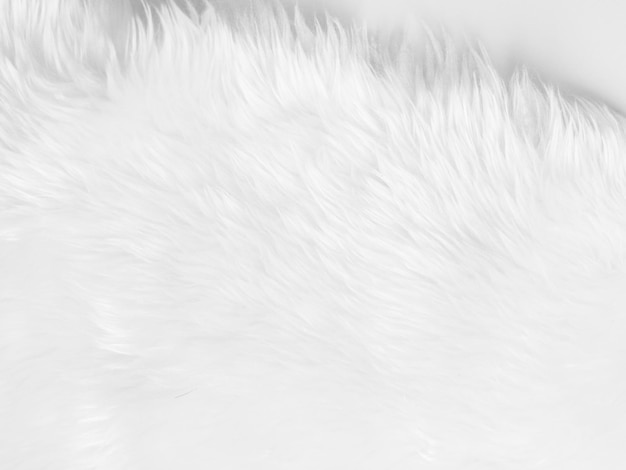 Fond de texture de laine blanche propre laine de mouton naturelle légère texture de coton sans couture blanche de fourrure duveteuse pour les concepteurs agrandi fragment tapis de laine blanchex9