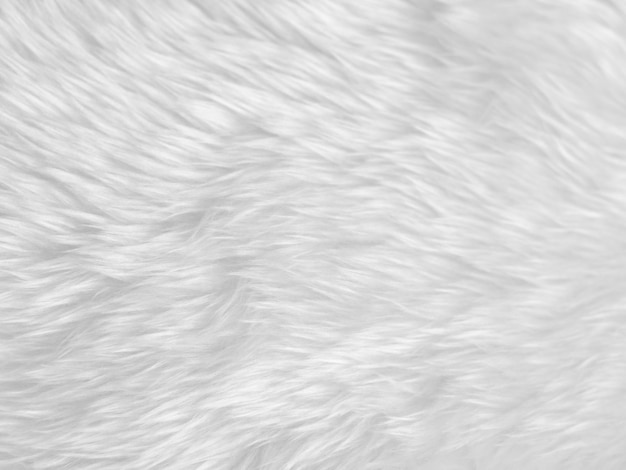 Fond de texture de laine blanche propre laine de mouton naturelle légère texture de coton sans couture blanche de fourrure duveteuse pour les concepteurs agrandi fragment tapis de laine blanchex9