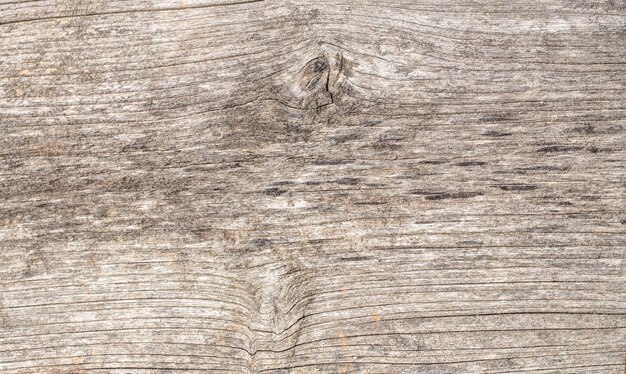 Fond de texture de longues planches de bois