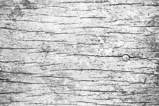 Fond et texture de mur en bois blanc