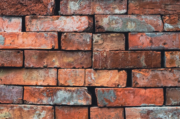 Fond de texture de mur de briques colorées