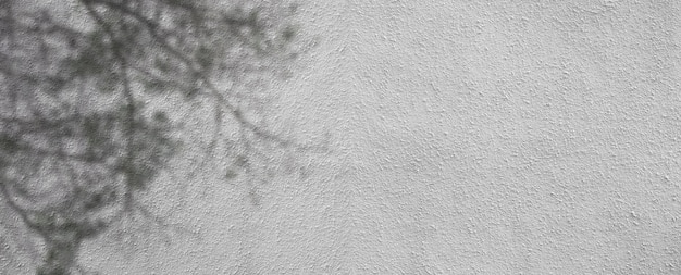 Fond de texture de mur de ciment blanc avec ombre d'arbre. Texture rugueuse.