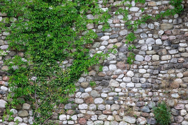 Fond de texture de mur de pierre