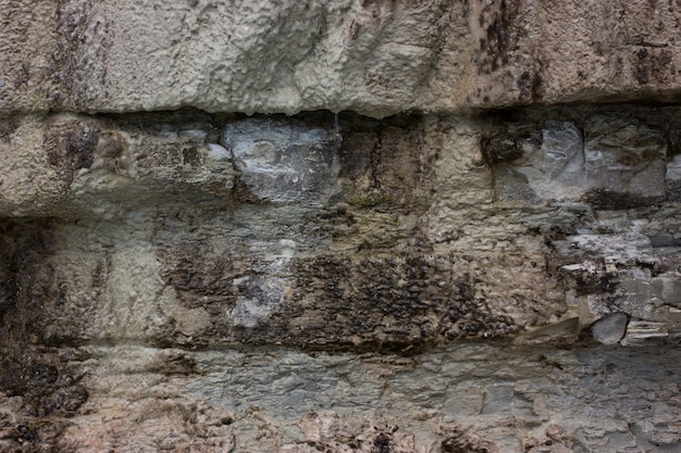 Fond de texture de mur de roche sédimentaire sur la mer Noire