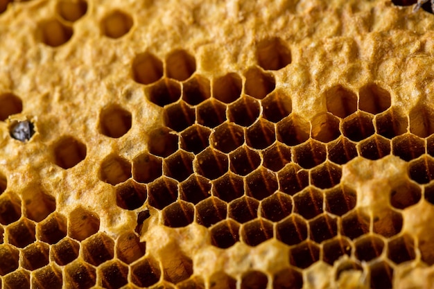fond de texture en nid d'abeille