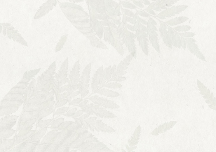 Photo fond de texture de papier pétale de fleur à la main