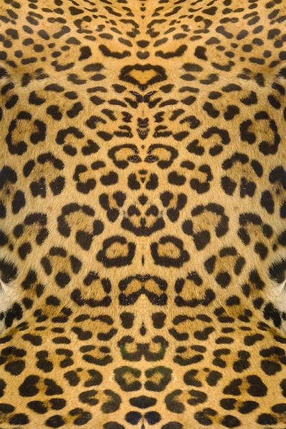 Fond de texture de peau de léopard et ocelot