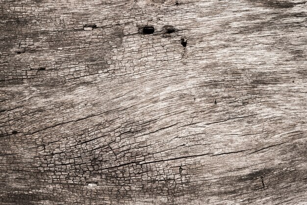 fond de texture de planche de bois