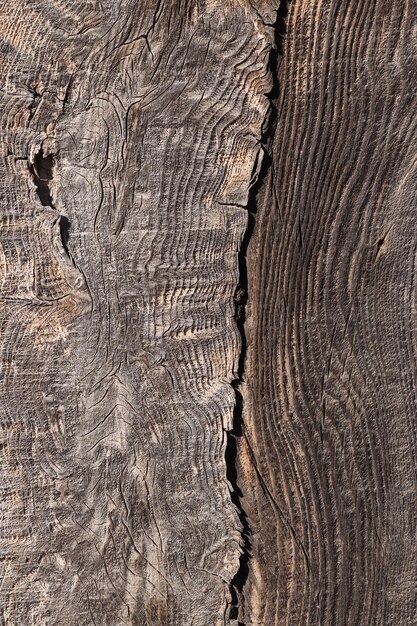 Fond de texture de planches de bois rustique