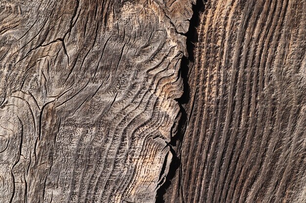 Fond de texture de planches de bois rustique