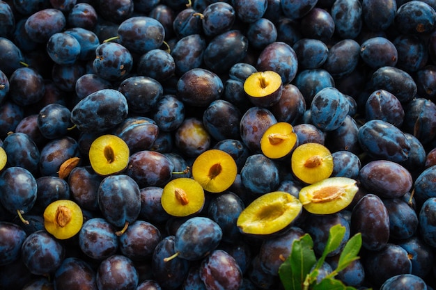 Fond de texture de prunes bleues fraîches comme image de fruit